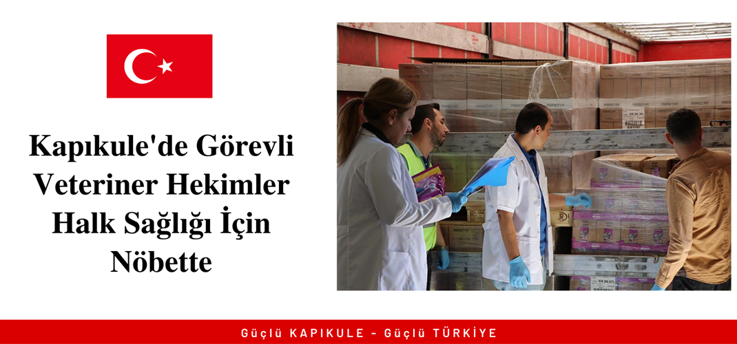 Kapıkule'de Görevli Veteriner Hekimler Halk Sağlığı İçin Nöbette (A.A)
