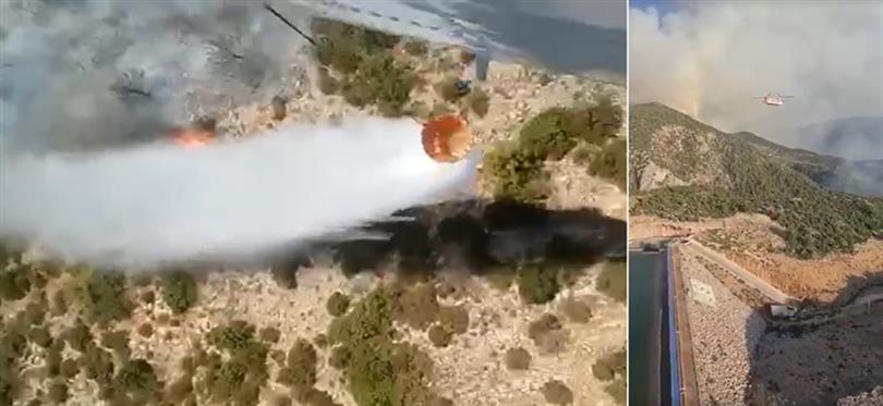 Orman Yangınlarıyla Mücadelemiz Var Gücümüzle Devam Ediyor