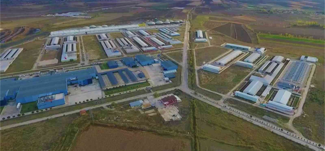 AMASYA SULUOVA BESİ OTB'NİN KIRMIZI ET ÜRETİMİNE KATKISI SÜRÜYOR