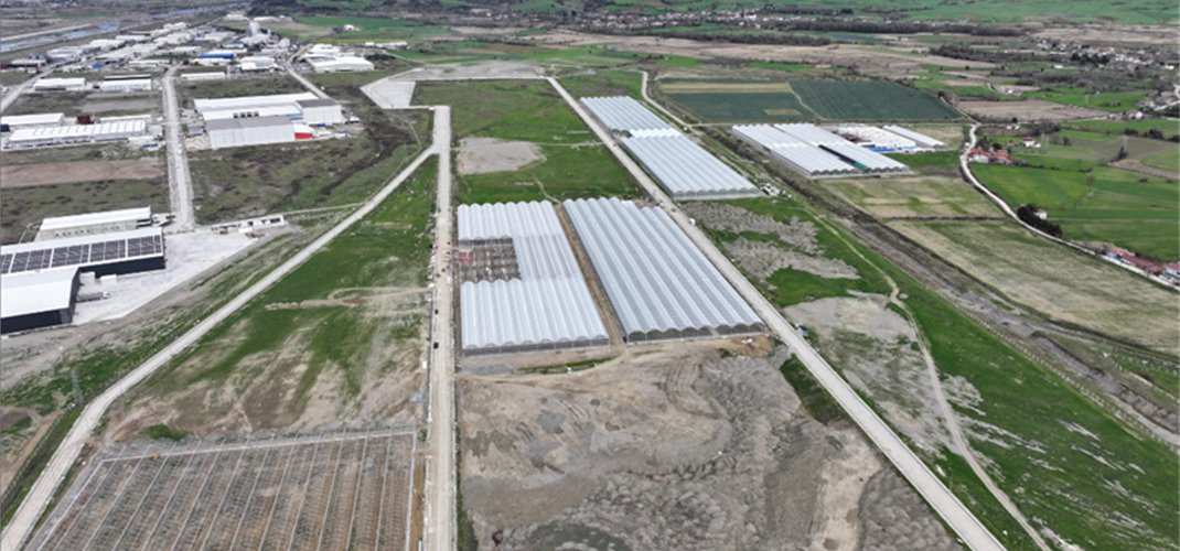 SAMSUN BAFRA SERA ORGANİZE TARIM BÖLGESİ'NDEN EKONOMİYE YILLIK 1,5 MİLYAR LİRA KATKI