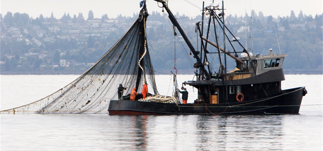 BAKAN YUMAKLI: “SON YILLARIN EN VERİMLİ HAMSİ SEZONLARINDAN BİRİNİ GERİDE BIRAKTIK”