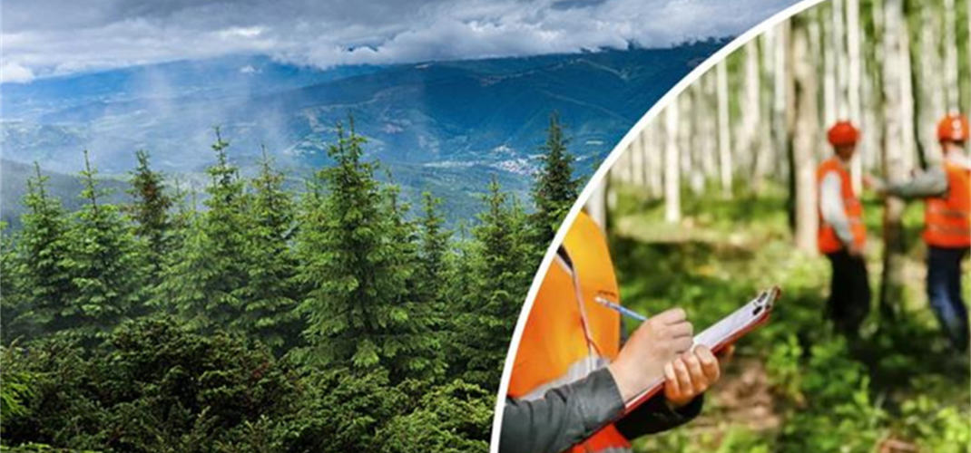 ORMAN GENEL MÜDÜRLÜĞÜ 496 SÖZLEŞMELİ PERSONEL ALACAK